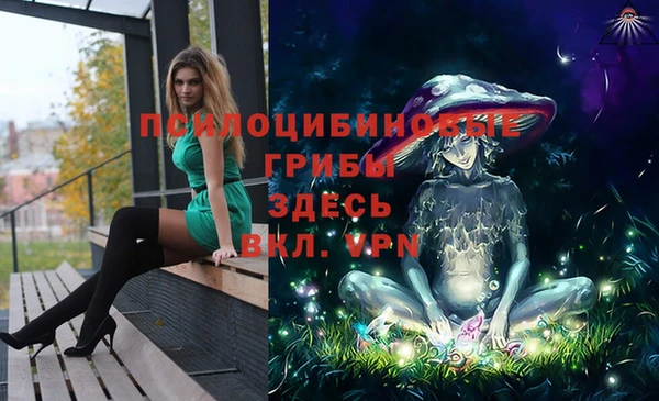 амф Белоозёрский