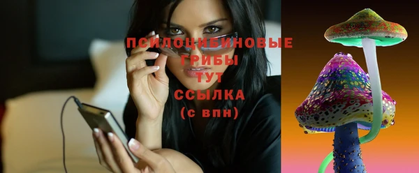 меф Белокуриха