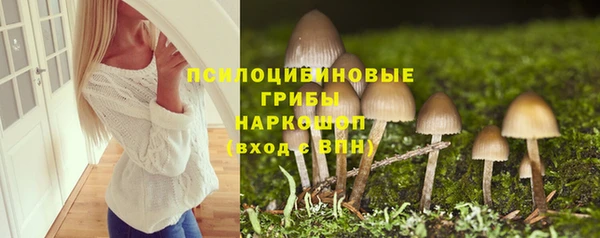 дмт Баксан