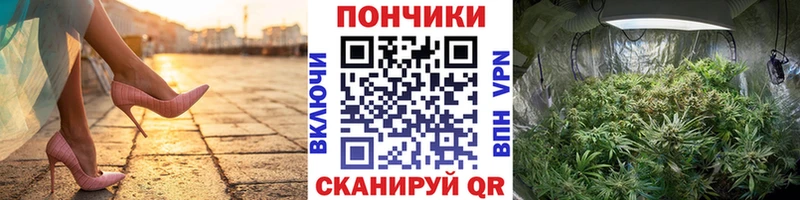 как найти закладки  Верхотурье  Бошки Шишки MAZAR 